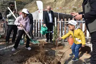 11 Kasım'da Karadeniz'de Binlerce Fidan Dikildi
