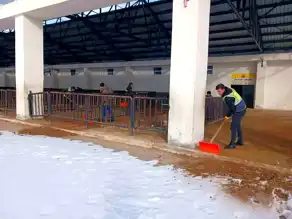 Bayburt Canlı Hayvan Pazarı Salı Açılıyor
