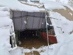 Doğu Anadolu'da Kar Yüküne Dayanamayan Ahır Çöktü