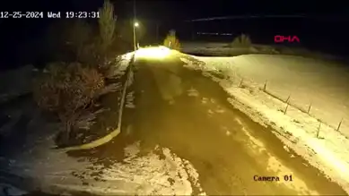 Bayburt'ta Aç Kurtlar Köye İndi!