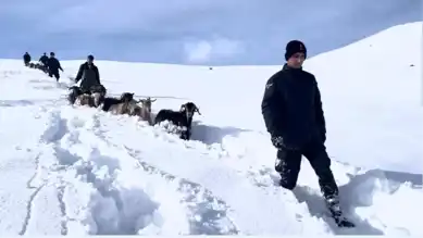 Drone ile Kayıp Hayvanlar Bulundu!