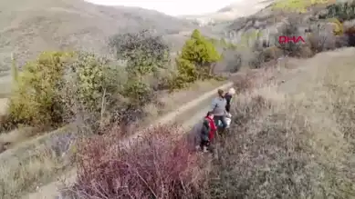 Doğu Anadolu'da Kuşburnu Hasadı