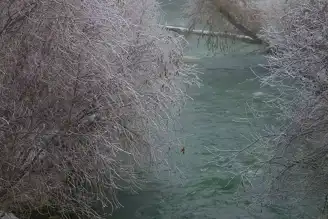 Doğu Anadolu Bölgesinde Şiddetli Soğuk ve Sis