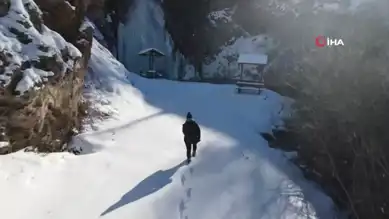 Bayburt'taki Şelale Buzla Kaplandı!