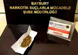 Bayburt'ta Bonzai Operasyonu: Şahıs Yakalandı