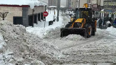 Kuzeydoğu'da Yoğun Kar Yağışı Hayatı Felç Etti
