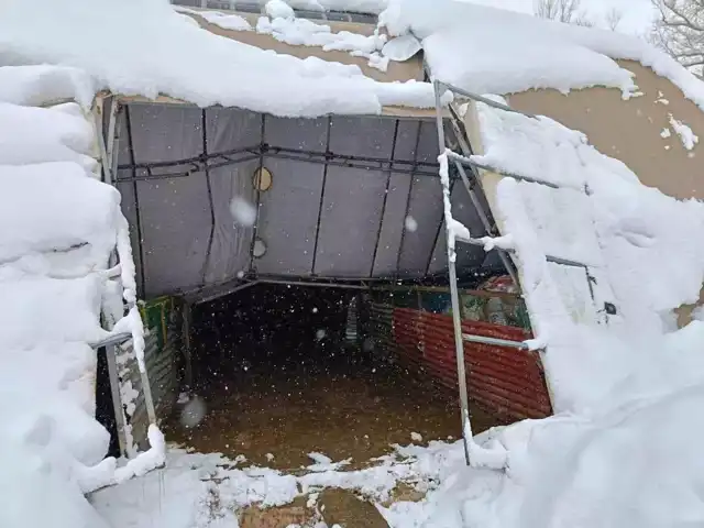 Doğu Anadolu'da Kar Yüküne Dayanamayan Ahır Çöktü