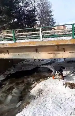 Bayburt'ta Soğukta Kalmış Köpek Kurtarıldı!