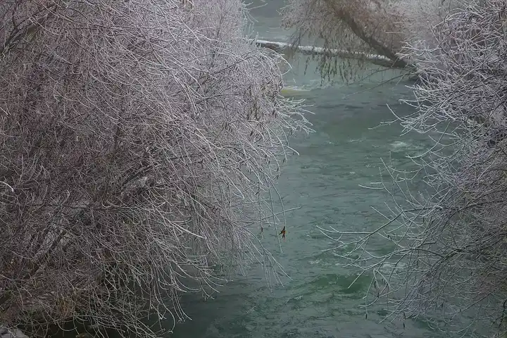 Doğu Anadolu Bölgesinde Şiddetli Soğuk ve Sis