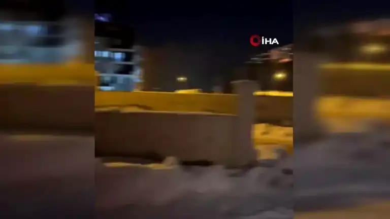 Bayburt'ta Tilki Şehir Merkezinde Görüntülendi