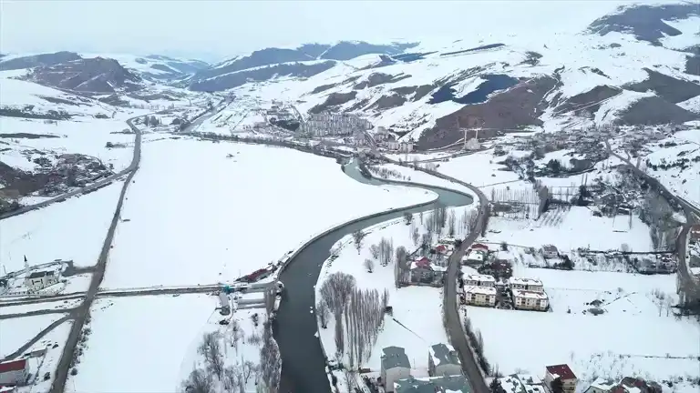 Çoruh Nehri'nde Yeşilbaş Ördekleri Kışladı