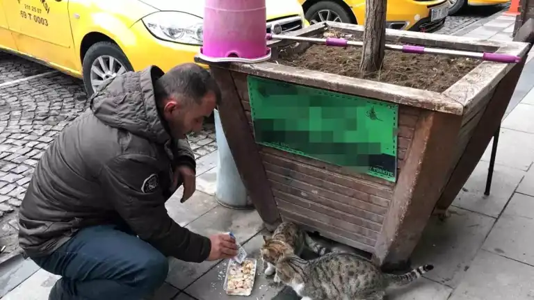 Taksici, Hayvan Dostlarına Bakarak Başlıyor Güne